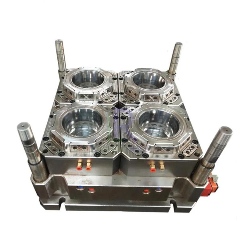 Disposable Transparent Food Container Mould